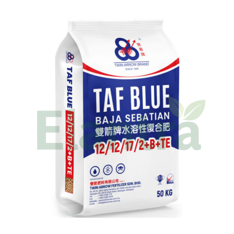 TAF 12-12-17